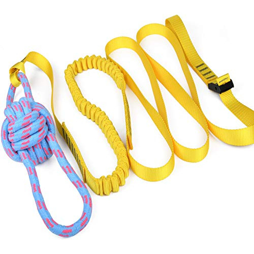 Dog Rope Toy, Retractable Interactive Bungee Hanging Tr...
