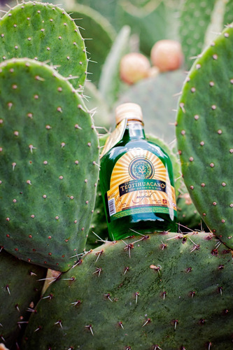 Imagen 6 de 6 de Bebida Artesanal De Nopal 375 Ml
