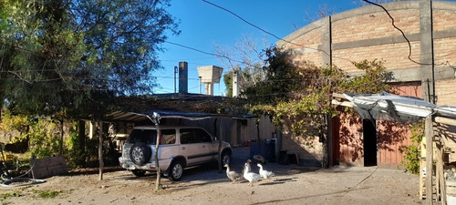 Imagen 1 de 12 de Finca 4 Has. G Alvear Mendoza. 100% En Producción. Casa Y Galpón. Sobre Asfalto. Podría Considerar Alguna Permuta Que No Sea Inmueble. Precio Conversable.