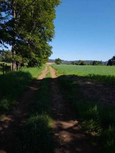Se Vende Hermoso Campo En La Unión