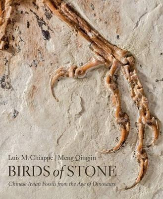 Birds Of Stone - Luis M. Chiappe