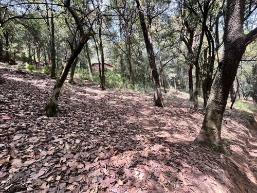 Terrenos Ecológicos En Venta, Santa Rosa Xochiac, Álvaro Obregón, Cdmx