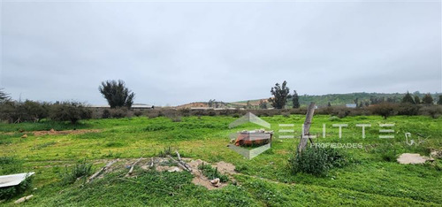 Imagen 21 de 29 de Industrial En Venta En Casablanca