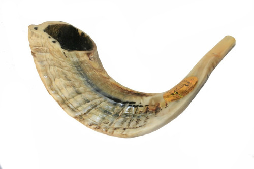 Imagem 5 de 8 de Shofar Chifre De Carneiro De Tocar - 34 A 37 Cm - De Israel