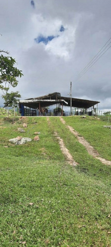 Imagen 18 de 27 de Finca En Venta Chiguará
