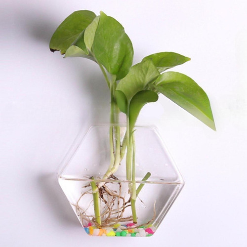Jarrón De Vidrio De Plantador De Pared Simplicidad Fácil