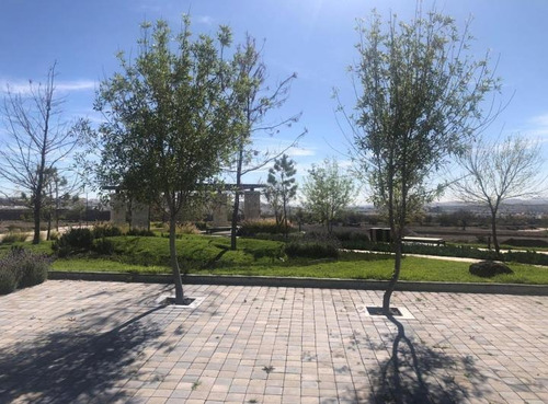 Imagen 3 de 10 de Terreno En Venta En La Espiga