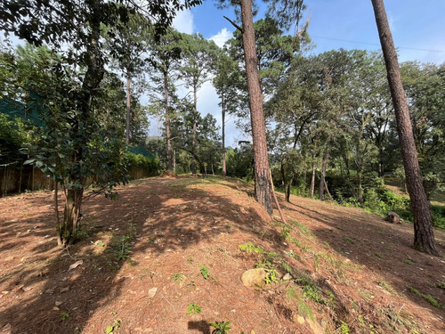 Terreno Boscoso, Valle De Bravo