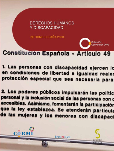 Libro Derechos Humanos Y Discapacidad. Informe Espaã±a 20...