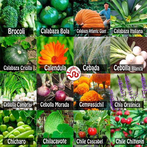 5 Sobres De Semilla, Escoja Entre 70 Especies De Hortaliza
