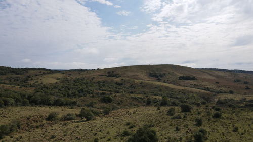 Campo En Rocha 78ha (ref: Atm-6768)