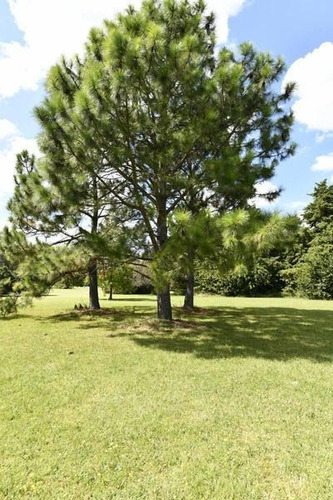 Imagen 4 de 10 de Ultimos Lotes Al Golf!! En Venta En Country San Diego-
