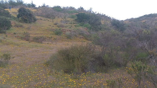 Buen Terreno Con Maravillosa Vista Al Valle, Sector San José