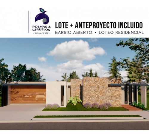 Lote Con Anteproyecto De Regalo! Ciruelos Y Poemas