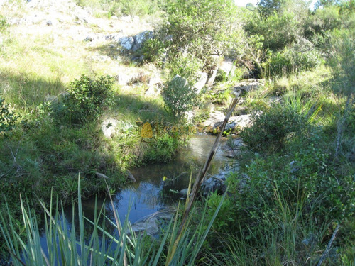 Campo En Rocha - Ideal Para Descanso - Consulte !!!!!-ref:3174