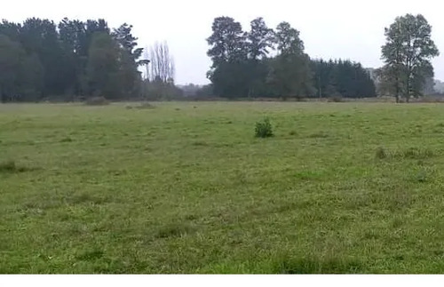 Campo 4,7 Ha En Venta, Purranque - Futillar