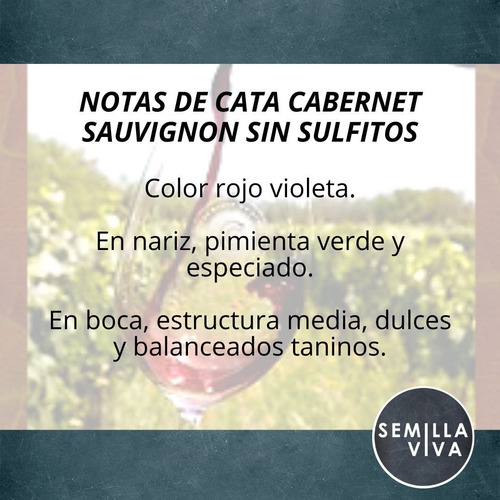 Imagen 2 de 10 de Vino Orgánico Cabernet Sauvignon Cecchin X750 Sin Sulfitos