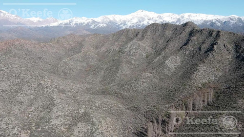 Imagen 12 de 30 de Campo En Venta En Tupungato De 30000 Has - Viñedos De Altura - Nogales - Desarrollo Inmobiliario