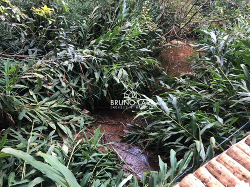 Imagem 10 de 19 de Chácara À Venda Em Igarapé, Bairro Batatal, - Te0261