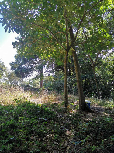 Imagen 8 de 14 de Bella Propiedad, Paz Y Naturaleza, Tranquilidad, Tierras Mor
