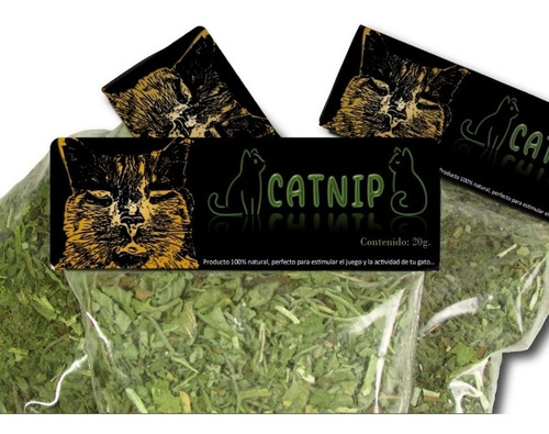 Catnip, 20 Gramos Catnip Semi Molido 100% Orgánico