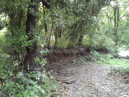Imagen 4 de 14 de Terreno De Abangares