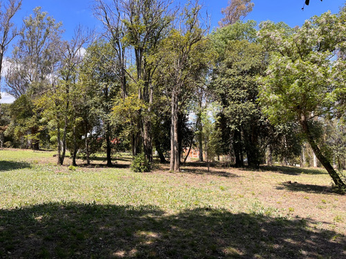 Lotes En Venta Villa General Belgrano El Bosquecillo Cód 2144