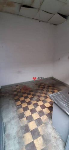 Imagem 15 de 23 de Excelente Terreno Para Alugar, 300 M² Por R$ 8.900/mês - Parque Santa Cecília - São Paulo/sp - Te0101