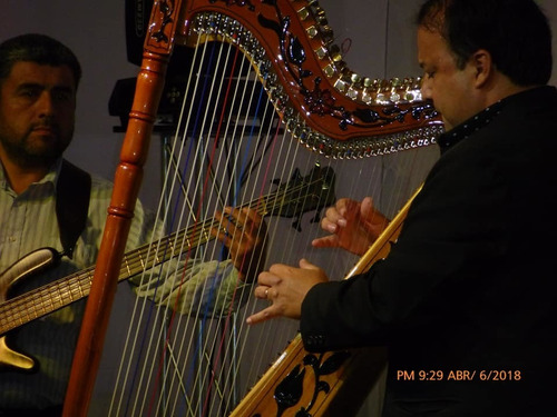 Imagen 7 de 10 de Show De Arpa Cumpleaños ,serenatas, Eventos Privados...