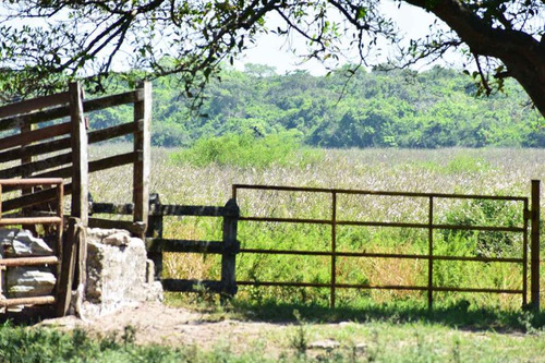 Venta Rancho Ganadero 1229 Hectáreas Tuxpan Veracruz.