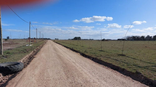 Imagen 14 de 24 de Lotes En San Vicente