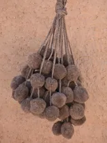 Comprar Pack X 4 Tulmas Norteñas - Hay Colores (pompones O Borlas)