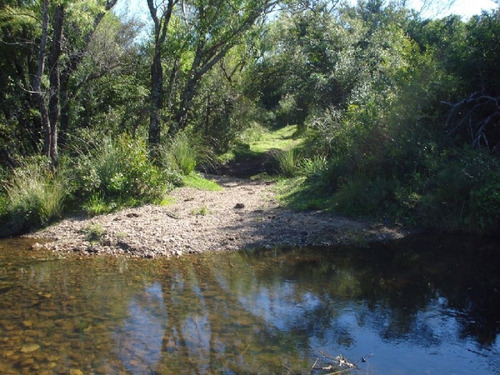 Imagen 2 de 17 de Campo 96 Has En Carape Cuenta Con Costa De Arroyo.- Ref: 798