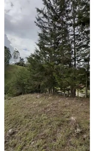 Lote Independiente Rionegro Vereda Ojo De Agua