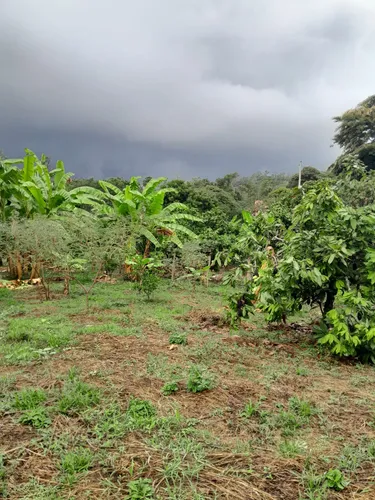 Vendo Lote En Viota Cundinamarca