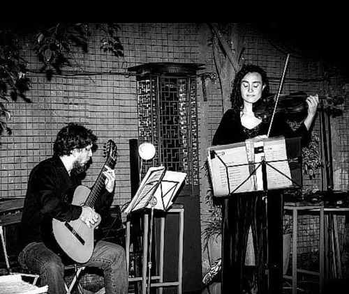 Violinista