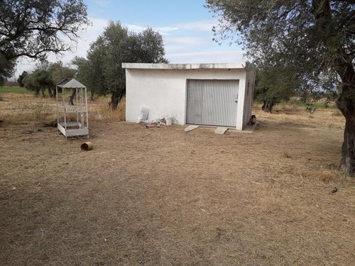 Imagen 9 de 16 de Campo En San Pedro Traslasierras. 4 Has Casa Y Galpon