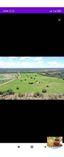 Imagem 2 de 10 de Fazenda À Venda Em Dois Irmãos - To - De 124 Alqueirões (dupla Aptidão) - 1627