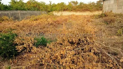 Terreno en venta