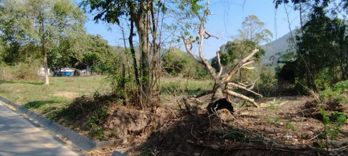Terreno Totalmente Plano E Próximo Ao Estádio De Futebol Do Sampaio Correia
