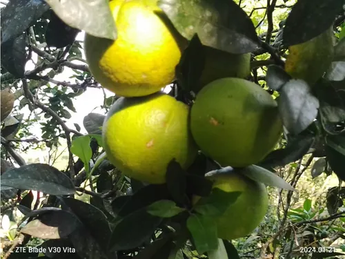 Vendo Finca La Vega Cundinamarca