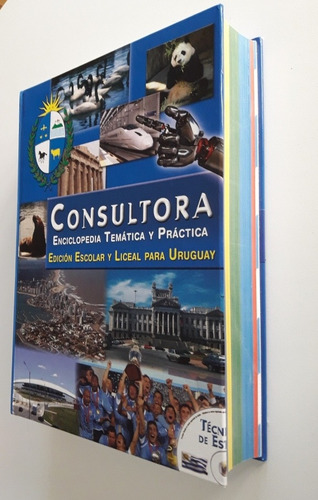 Enciclopedia Temática Y Práctica Consultora+cd Técni.estudio