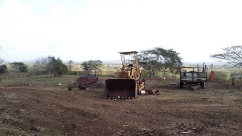 Imagen 16 de 30 de Finca En Mirimire Estado Falcon De 941 Hectáreas