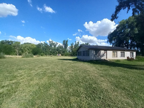 Quinta En  Cañuelas 