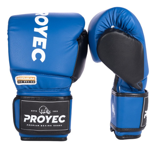 Guantes Boxeo Premium Proyec Negro 10 - 12 Oz Kick Thai