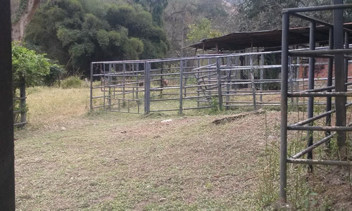 En Venta Finca Ideal Para Ganadería, Cría De Caballos Entre Otras Actividades.