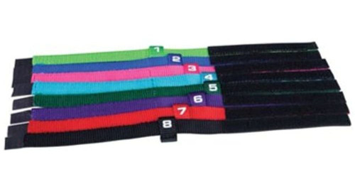 Total Pet Health Nylon Puppy Id Collar Toy 8pack