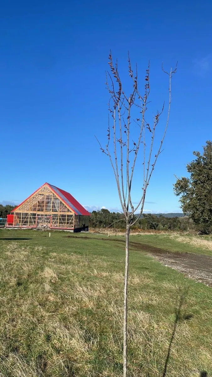 Imagen 1 de 30 de Se Vende Hermosa Casa En Chiloé