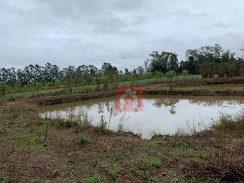 Imagem 11 de 17 de Chácara À Venda, 20000 M² Por R$ 256.000 - Industrial - Vera Cruz/rs - Ch0015