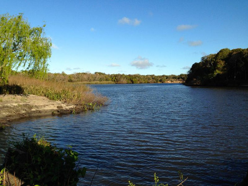 Chacra - Rosario